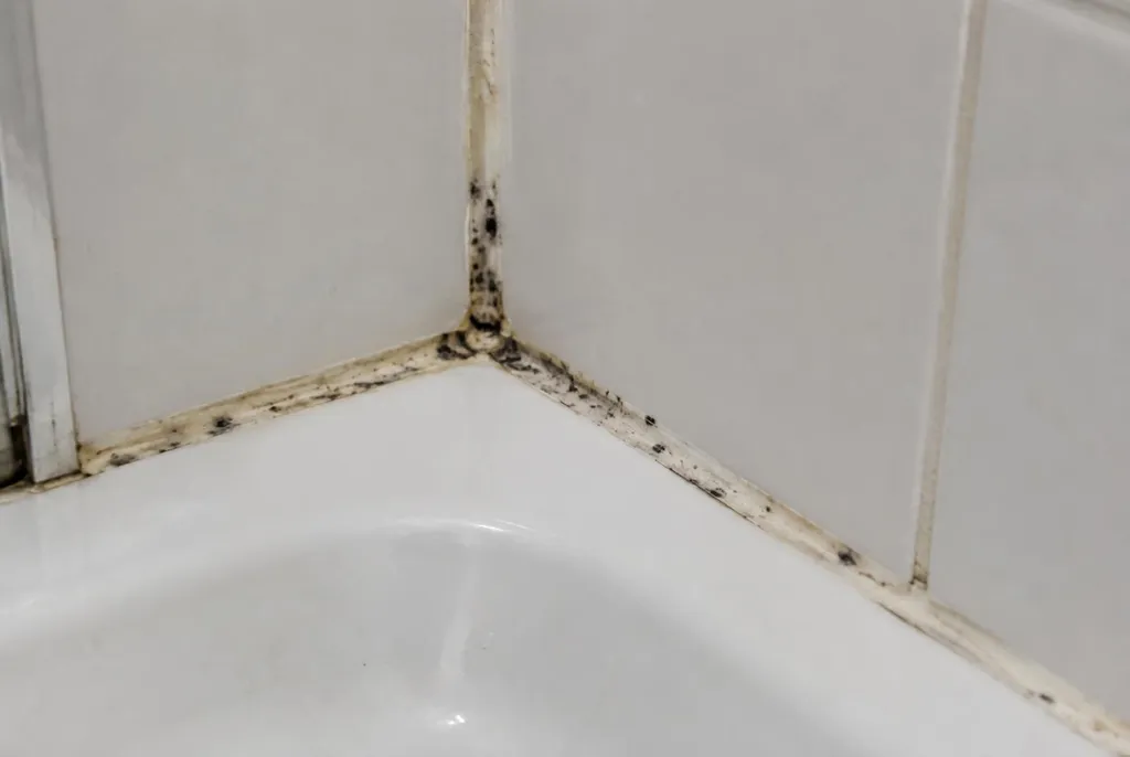 Kitbedrijf Tilburg – beschimmelde kitranden